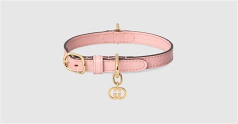 collier gucci chat|Gucci dog collection.